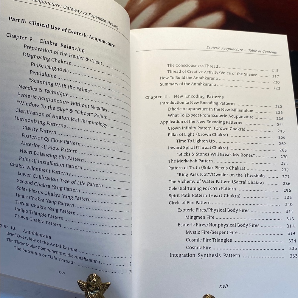 🍇Esoteric Acupuncture Gateway to Expanded Healing Volume 1 by Miko Sankey Ph.D - Picture 5 of 5